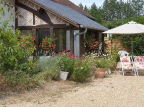 Gîte rustique à Cheverny: nature, tennis, animaux bienvenus, pêche et châteaux de la Loire à proximité - FR-1-491-366